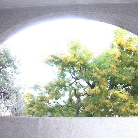 Montesilvano Marina Ari B&B מראה חיצוני תמונה