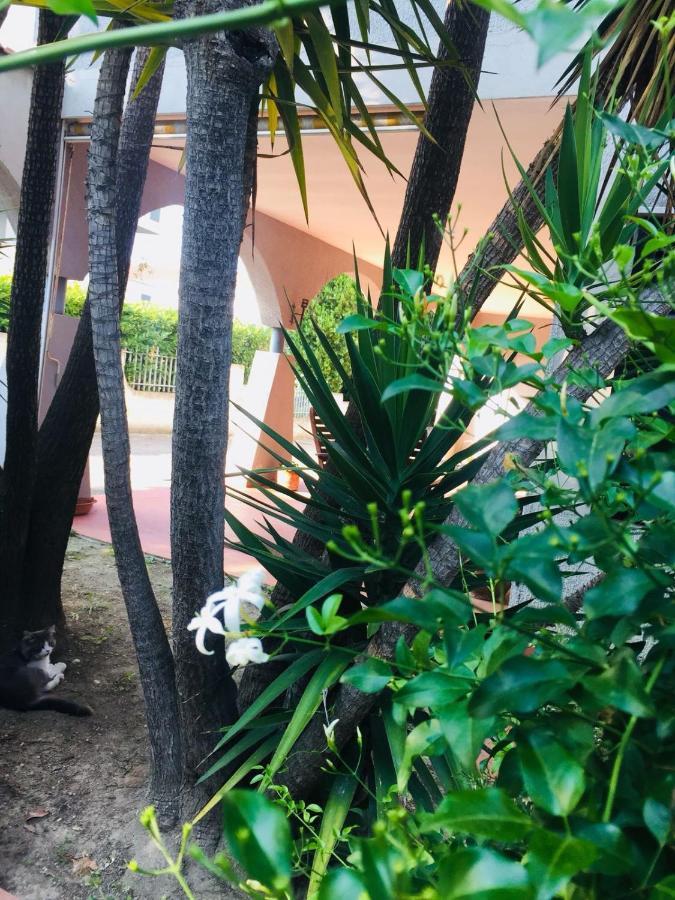 Montesilvano Marina Ari B&B מראה חיצוני תמונה